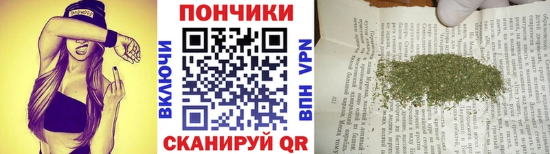 Канабис Amnesia  Полярные Зори 